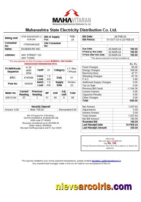 India Mahavitaran Co Ltd business utility billս